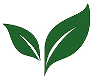Tzenova Leaf Icon